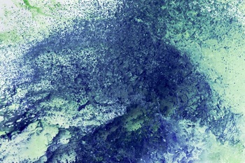 W 018
